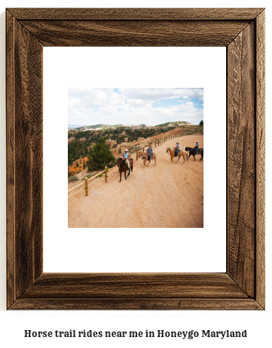 horse trail rides near me in Honeygo, Maryland